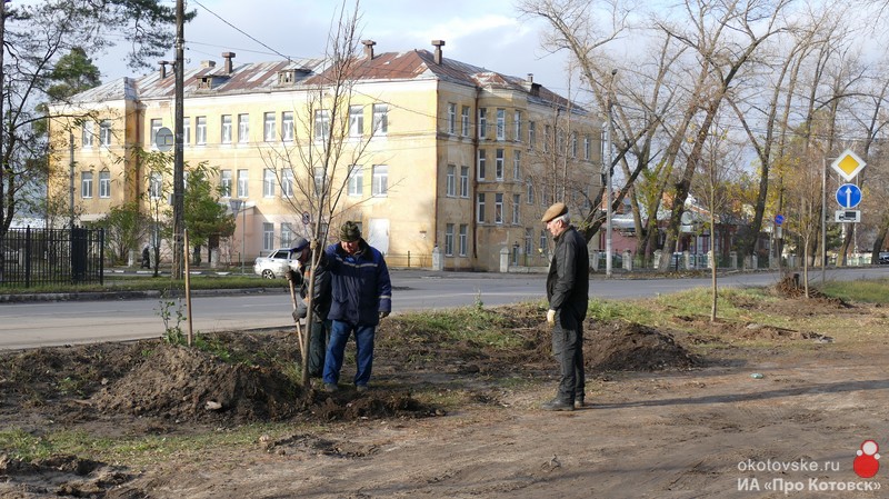 Высадка деревьев