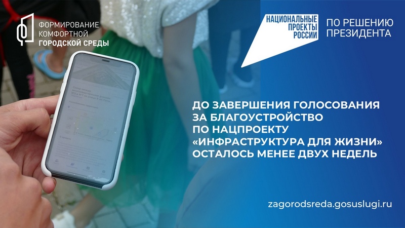 Голосование по нацпроекту